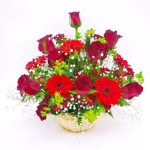 �A�����W�����g